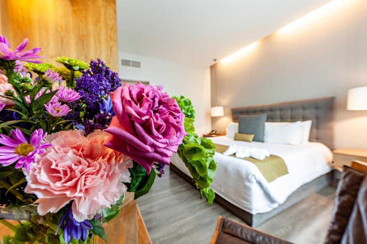 Aparthotel Del ángel Città del Messico